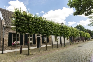DSC3149 Hasseltplein